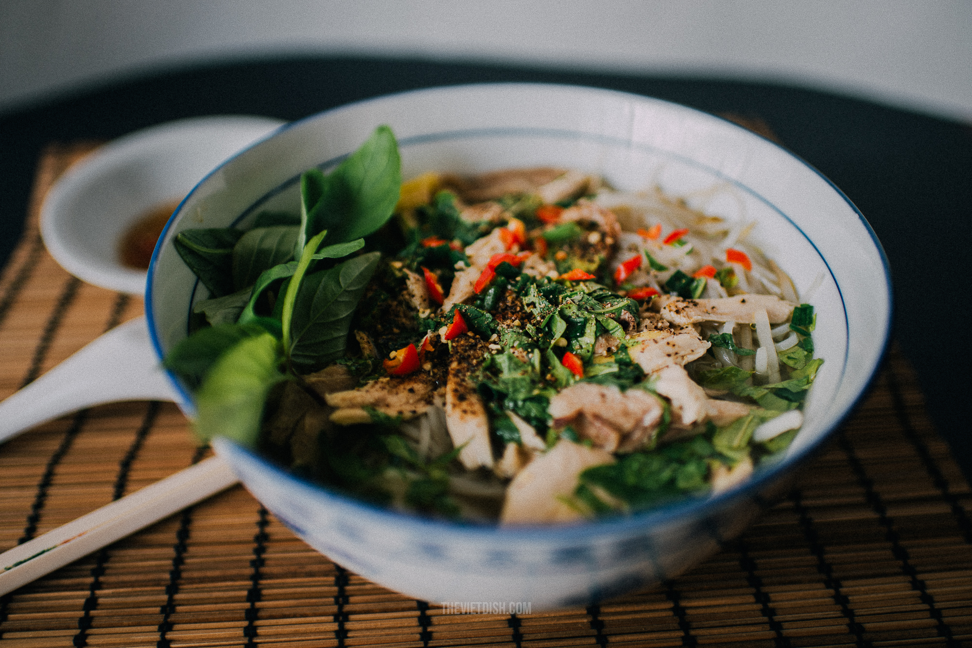 vietnamese chicken pho recipe